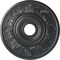 Ekena Millwork Vienna Ceiling Medallion (Fits Canopies up to 6 1/2"), 20"OD x 3 1/2"ID x 1 1/2"P, Pewter CM20VIPES - alternate 1